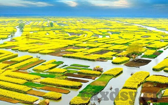 麻豆传媒怎么下载app-不可描述的深潭，了解麻豆传媒下载的灰色地带