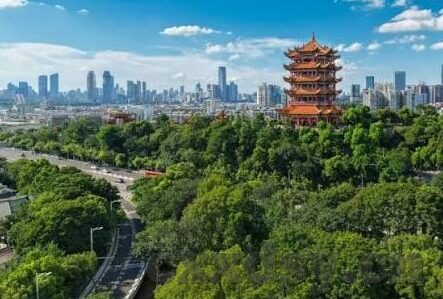 麻豆传文化传媒网站入口免费-探寻麻豆传文化传媒的魅力，免费沉浸于创意与艺术的海洋