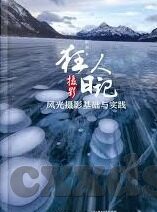麻豆网站91-麻豆网站与互联网文化的冲突与反思