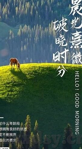 心糖vlog排行-探索心糖vlog排行，展露短视频新趋势的魅力窗口